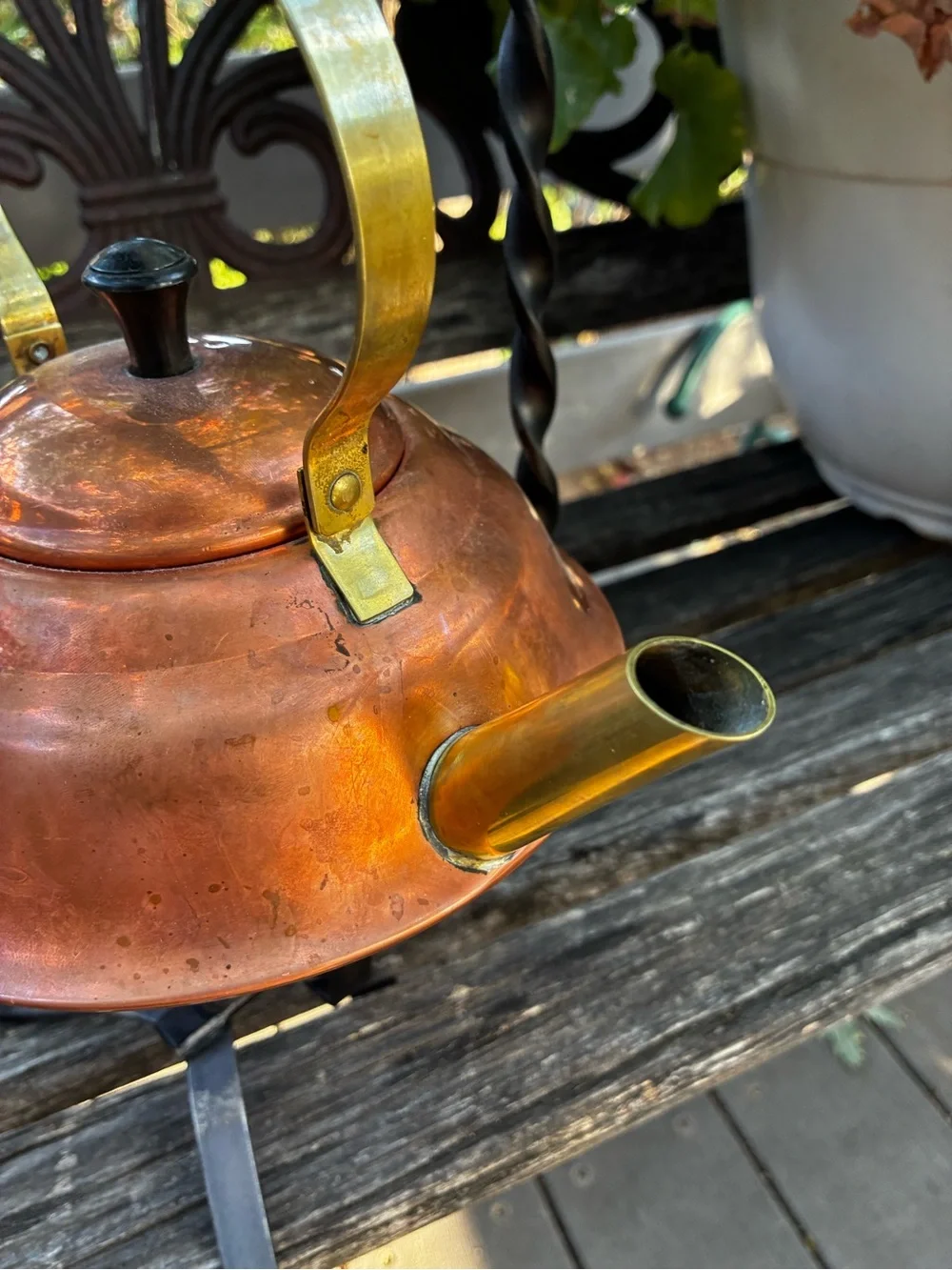 Source Unknown attractive copper